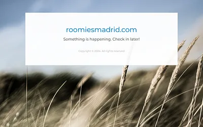 roomiesmadrid.com snapshot