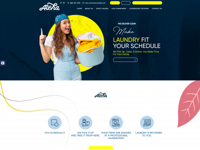 alohalaundrylife.com snapshot
