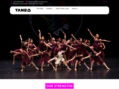 taneodanceacademy.com snapshot