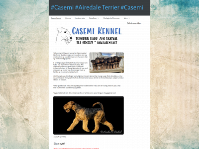 casemi.net snapshot