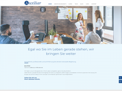 auxiliar.ch snapshot