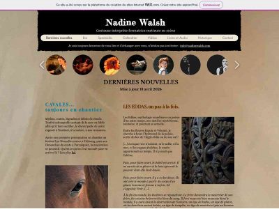 nadinewalsh.com snapshot