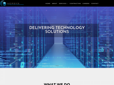 mersys.tech snapshot