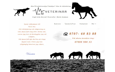 verisvet.se snapshot