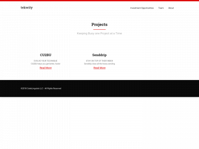 tekwity.com snapshot