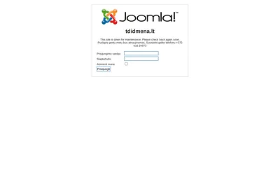 tdidmena.lt snapshot