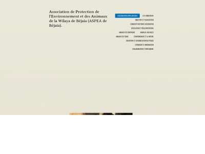 aspeabejaia.com snapshot