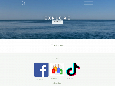 viip.online snapshot