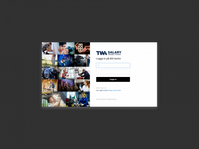 twasalary.com snapshot