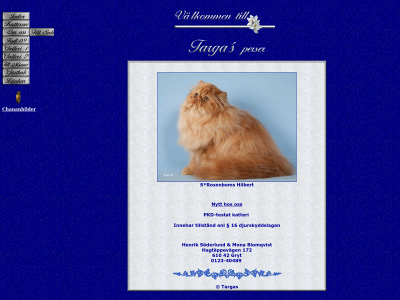 targaspersian.se snapshot