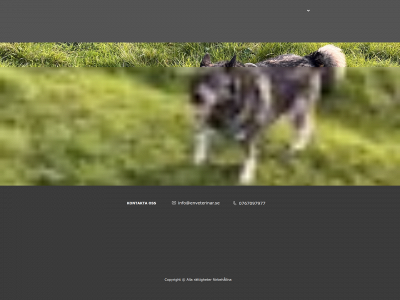 enveterinar.se snapshot