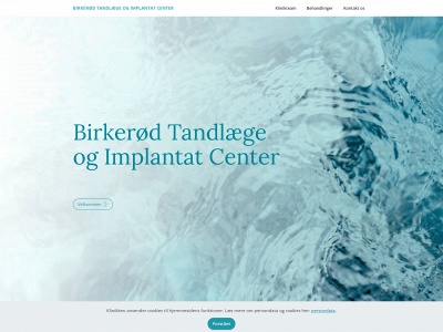 runegravesen.dk snapshot