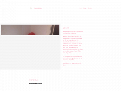 bamserbyfrida.dk snapshot