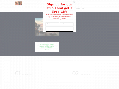 rhettweeks123.weebly.com snapshot