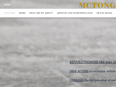 www.mctongindustries.com snapshot