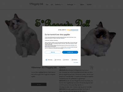 raggdydoll.se snapshot