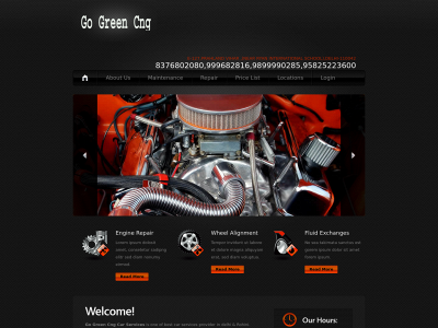 gogreencarservices.com snapshot