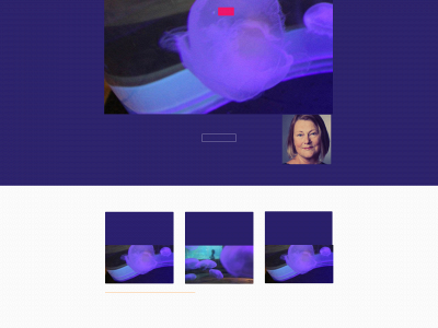 dreamcoaching.se snapshot