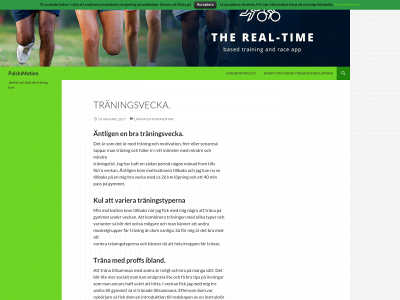 palsinmotion.se snapshot
