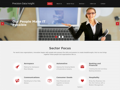 precisiondatainsight.com snapshot