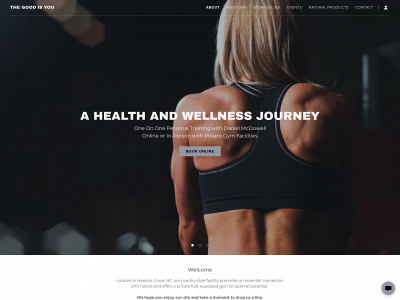 thegoodisyou.com snapshot