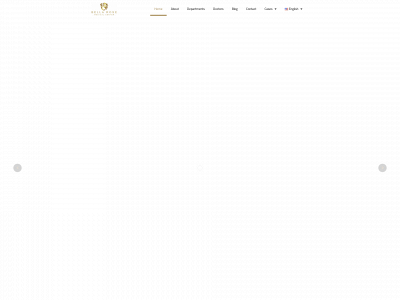 bellarosemc.ae snapshot