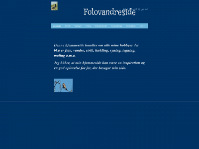 fotovandreside.dk snapshot