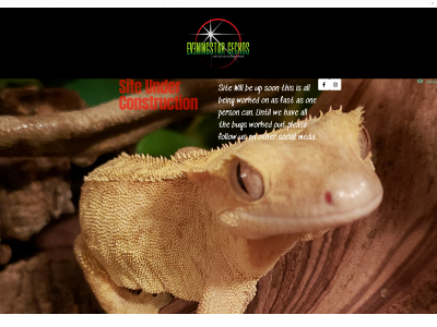 eveningstargeckos.com snapshot