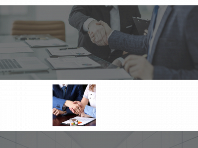 detektiverne.group snapshot