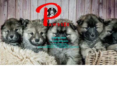pawssie.com snapshot