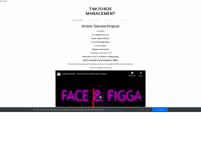 www.timfordemanagement.com snapshot