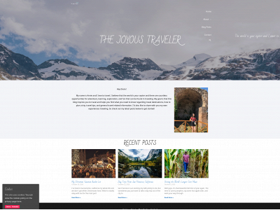 thejoyoustraveler.com snapshot