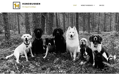 hundbussen.se snapshot