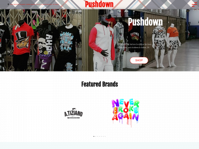 pushdownclothing.com snapshot