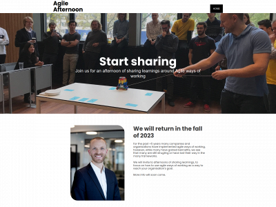 agileafternoon.com snapshot