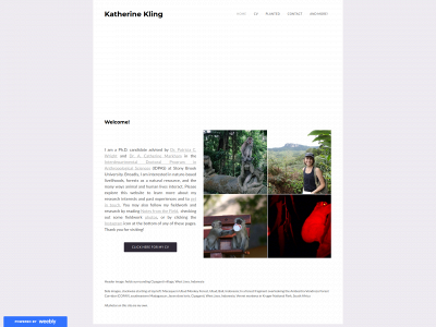 katherinekling.weebly.com snapshot