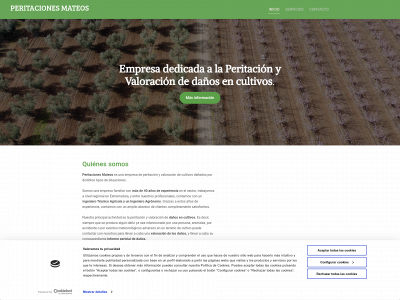 www.peritacionesmateos.com snapshot
