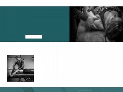 kinesitherapierafwillems.be snapshot
