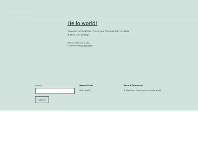 delaney.website snapshot