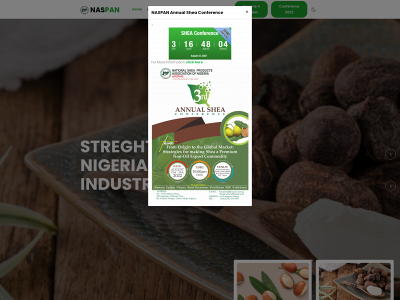 naspan.com.ng snapshot