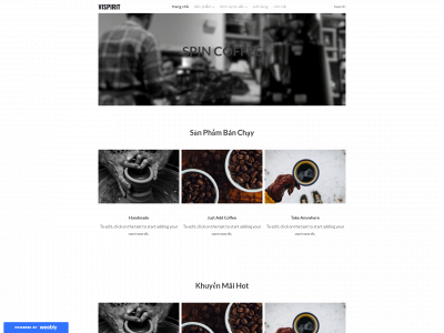 vispirit.weebly.com snapshot