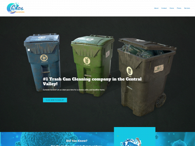 riosbincleaning.com snapshot