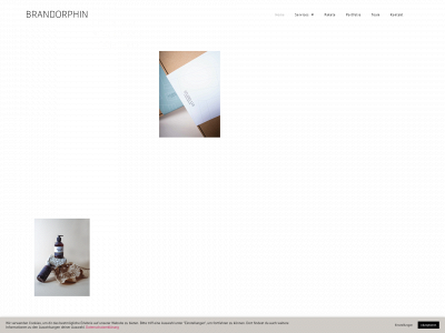 brandorphin.studio snapshot