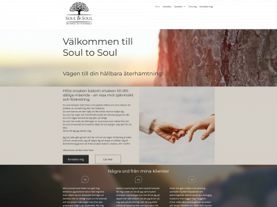 soultosoul.se snapshot