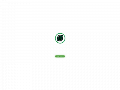 boy2flow.com snapshot