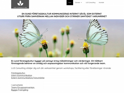 ujsconsulting.se snapshot