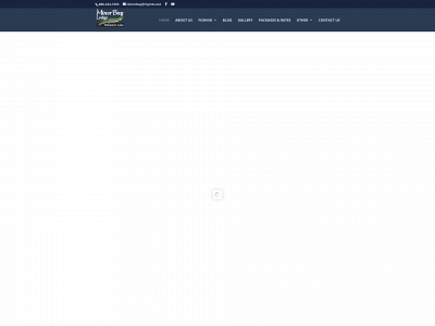 minorbay.com snapshot