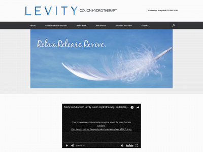 levitycolonics.com snapshot