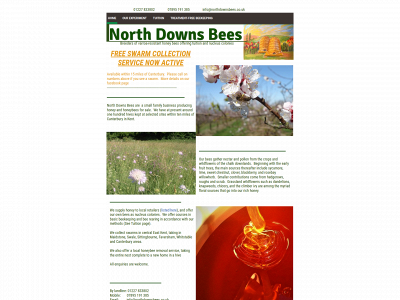 northdownsbees.co.uk snapshot