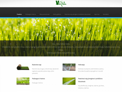 veja.lt snapshot
